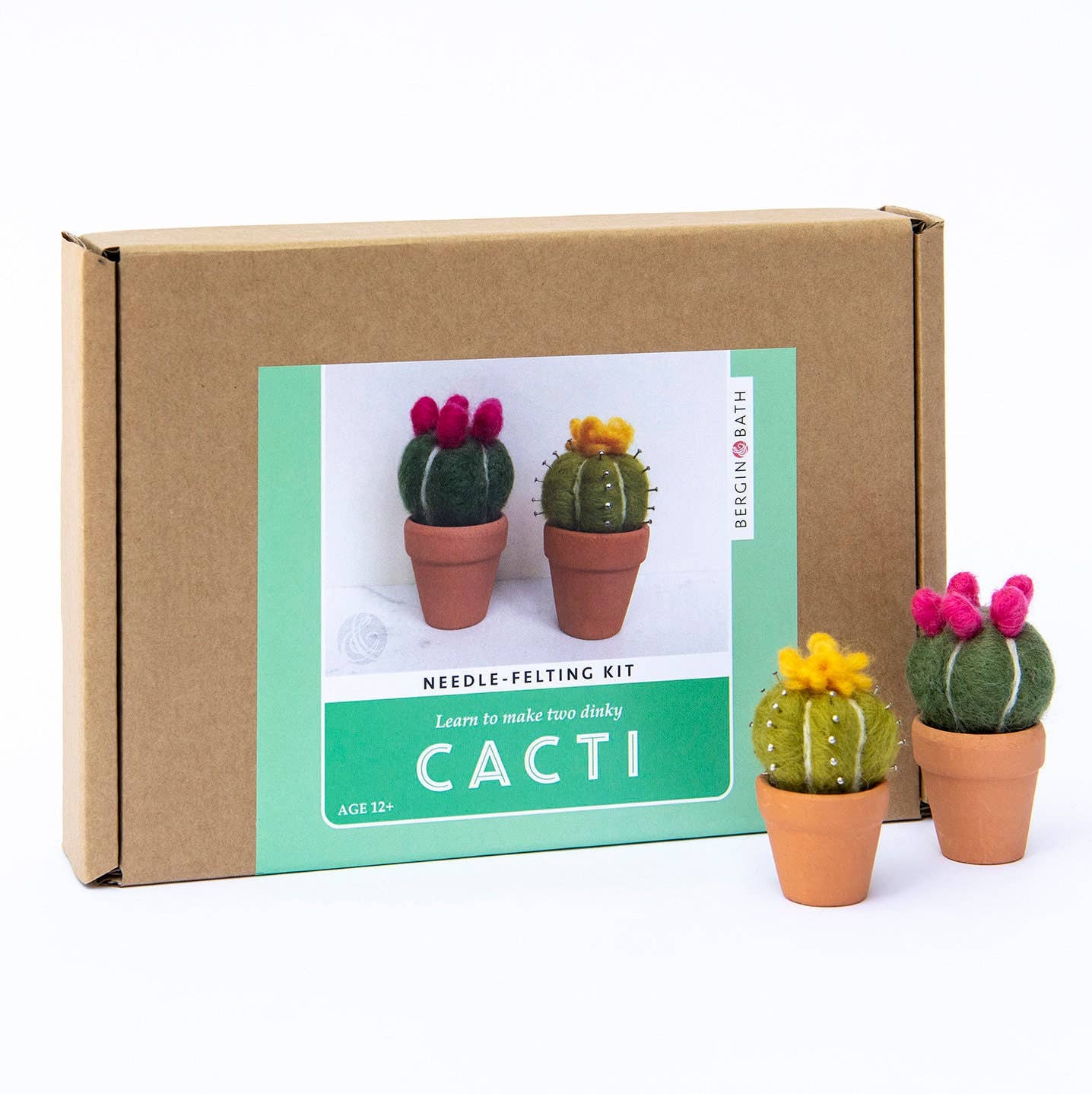 Kit fieltro con aguja Cactus decorativos