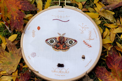 Kit de bordado "Sampler Polilla" de Kiriki Press