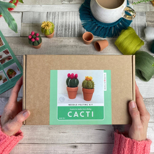 Kit fieltro con aguja Cactus decorativos